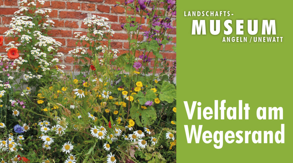 Biodiversität