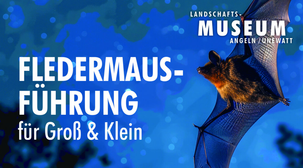 Fledermausführung