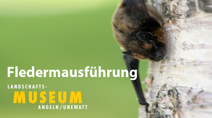 Fledermaus-Führung für Groß & Klein