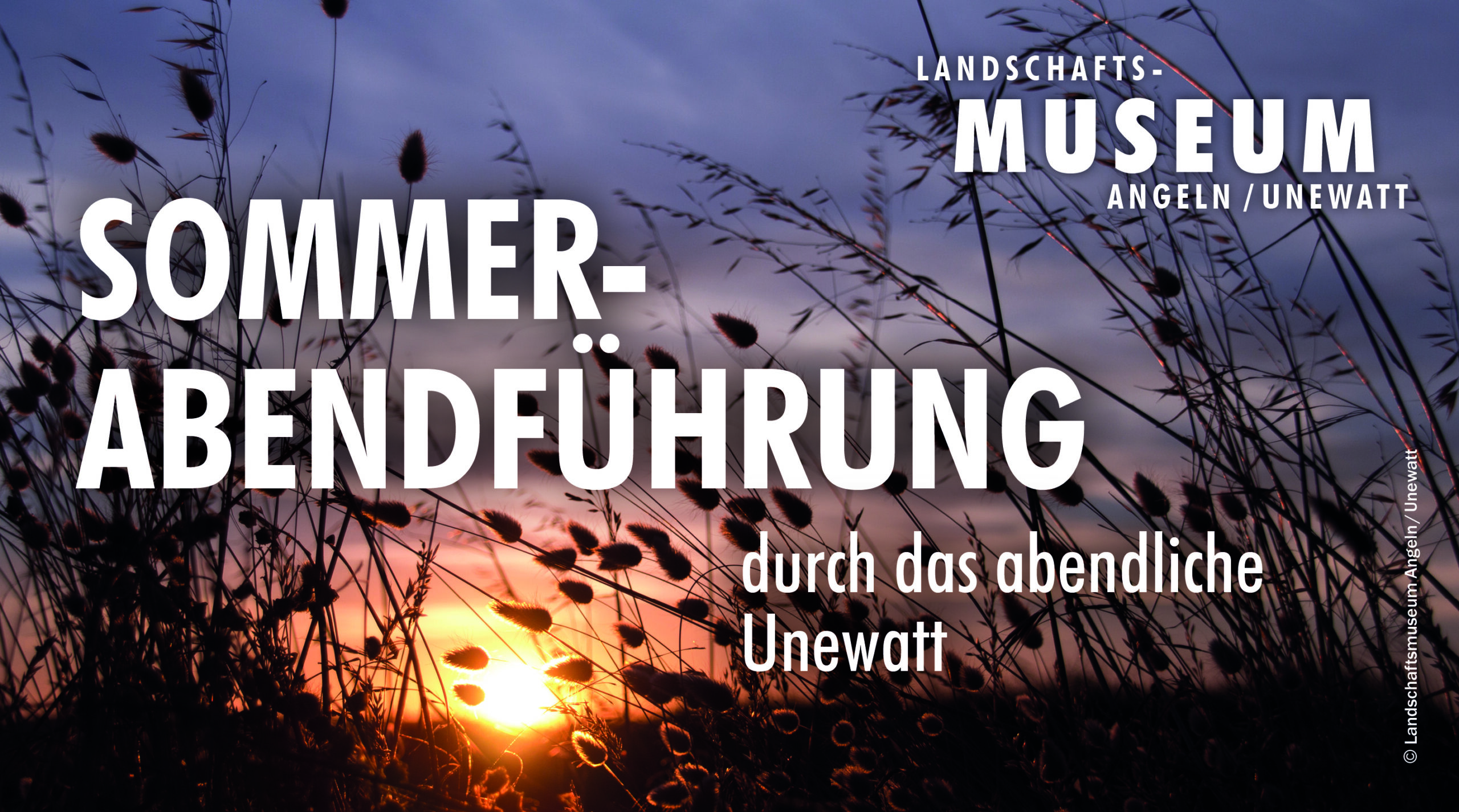 Sommerabendführung durch das abendliche Unewatt