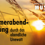 Sommerabendführung durch das abendliche Unewatt