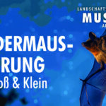 Fledermaus-Führung für Groß & Klein