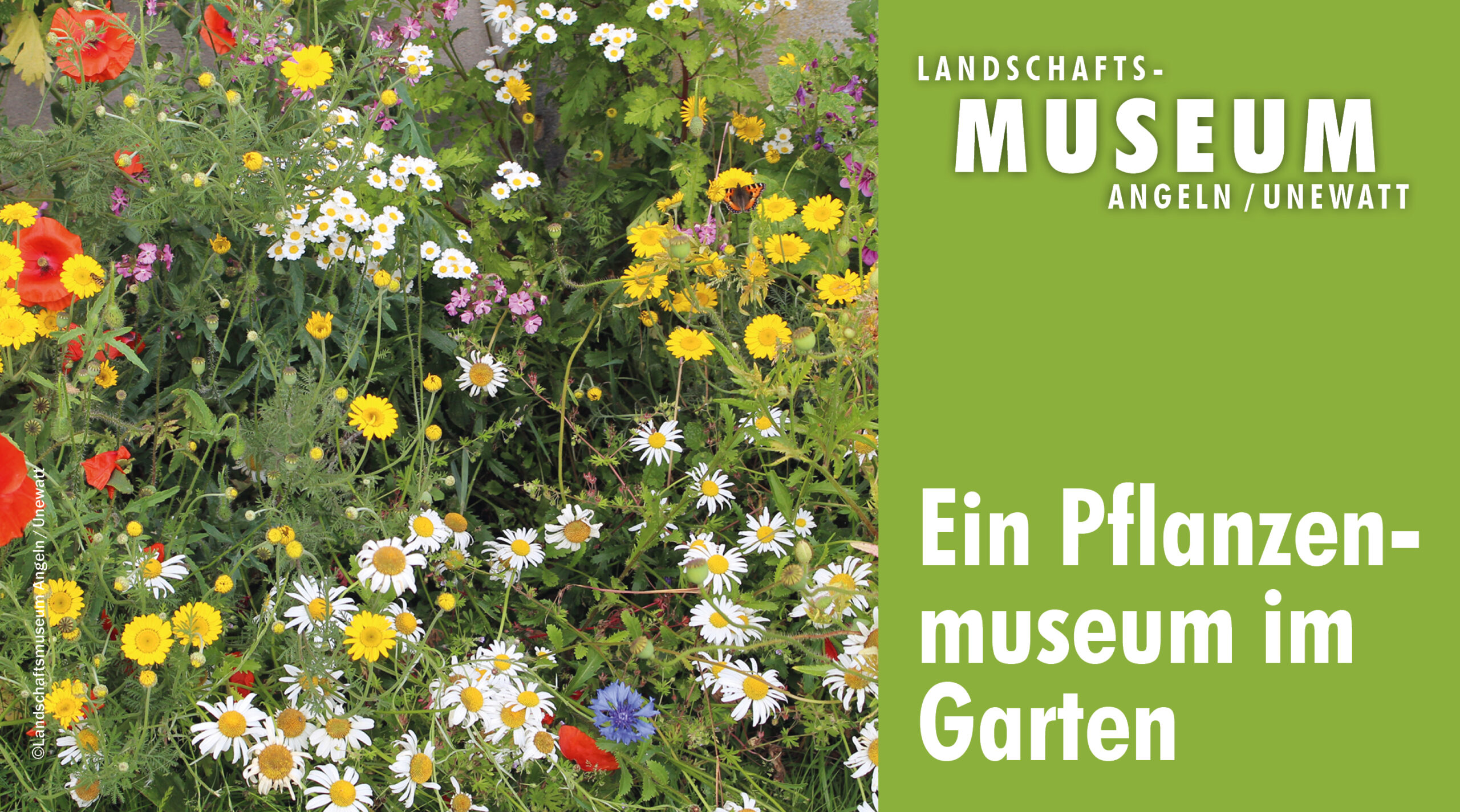 Ein Pflanzenmuseum im Garten