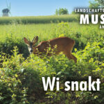 Wi snakt platt